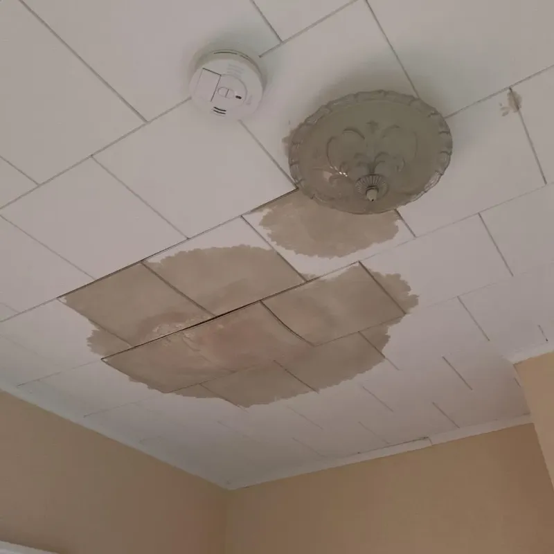 Ceiling Water Damage Repair in Saltillo, MS