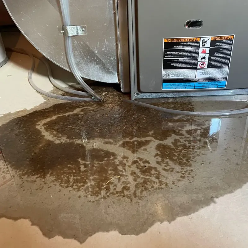 Pipe Burst and Leak Restoration in Saltillo, MS