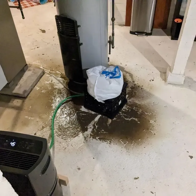 Sewage Backup Cleanup Service in Saltillo, MS